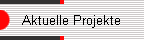 Aktuelle Projekte